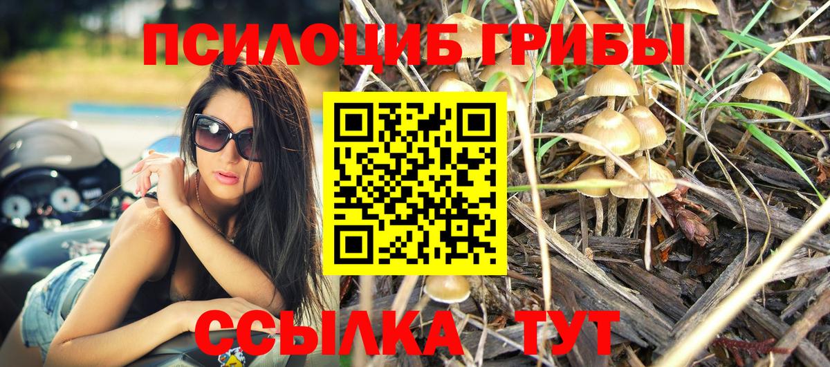 Красногорск  Псилоцибиновые грибы Psilocybine cubensis  Галлюциногенные грибы Cubensis  Вход с VPN 